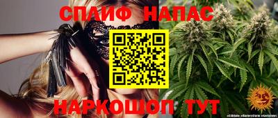 сатива Обь