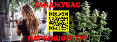 сатива Обь
