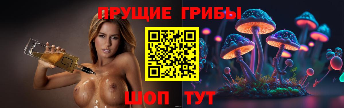 Псилоцибиновые грибы Cubensis Сургут